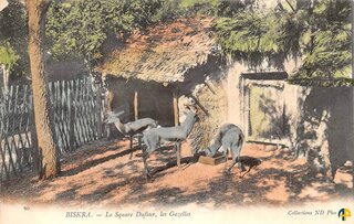 Le square Dufour, les gazelles