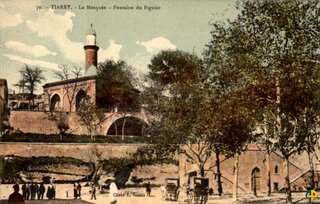 المسجد، نافورة شجرة التين