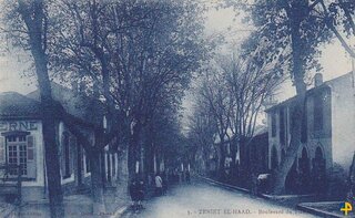 Boulevard de Tiaret