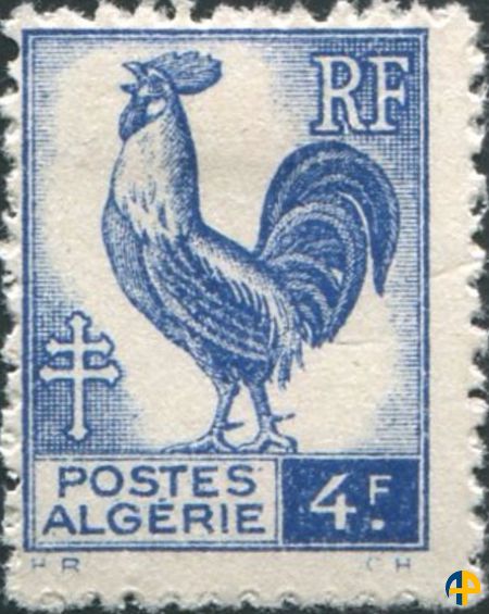 Coq d'Alger