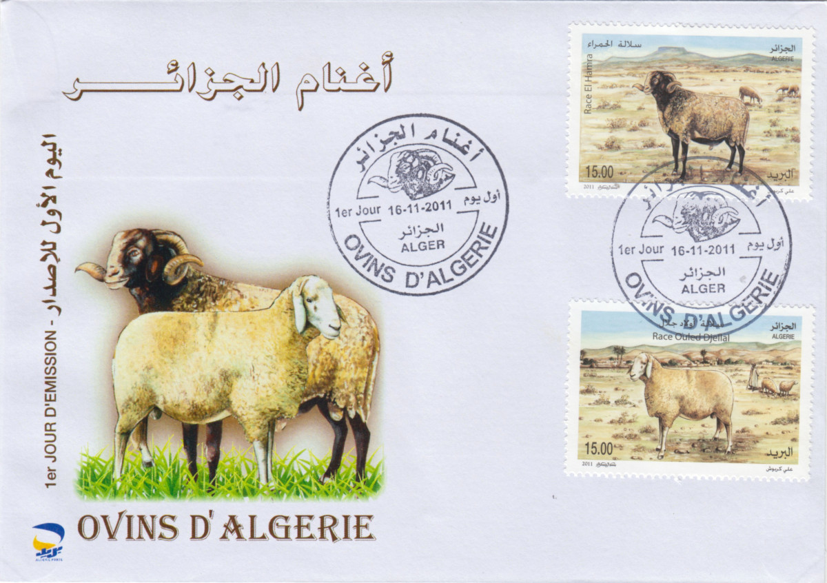 2011 Emission n° 14 - Enveloppe 1er jour - Ovins d'Algérie - Race Ouled Djellal & Race El Hamra