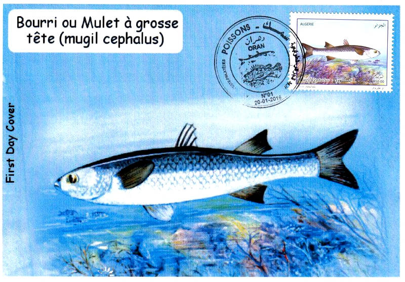 2016 Emission n° 01 - Enveloppe 1er jour Faune marine - Poissons
