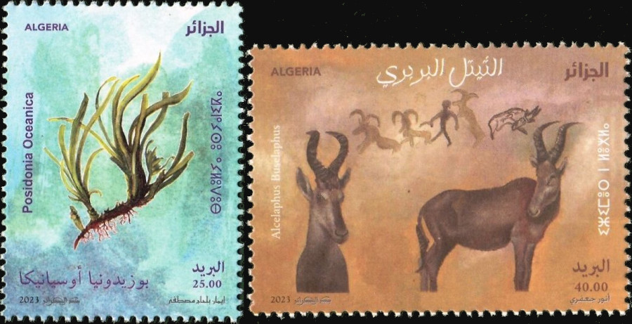 2023 Emisión n.º 12 - Medio ambiente Fauna y flora - Posidonia oceanica (Hierba de Neptuno) y Alcelaphus buselaphus (Antílope)