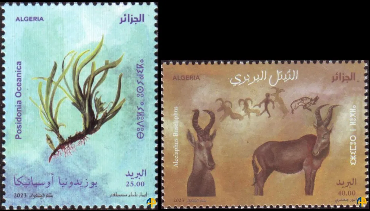 2023 Emission n° 12 - Environnement 