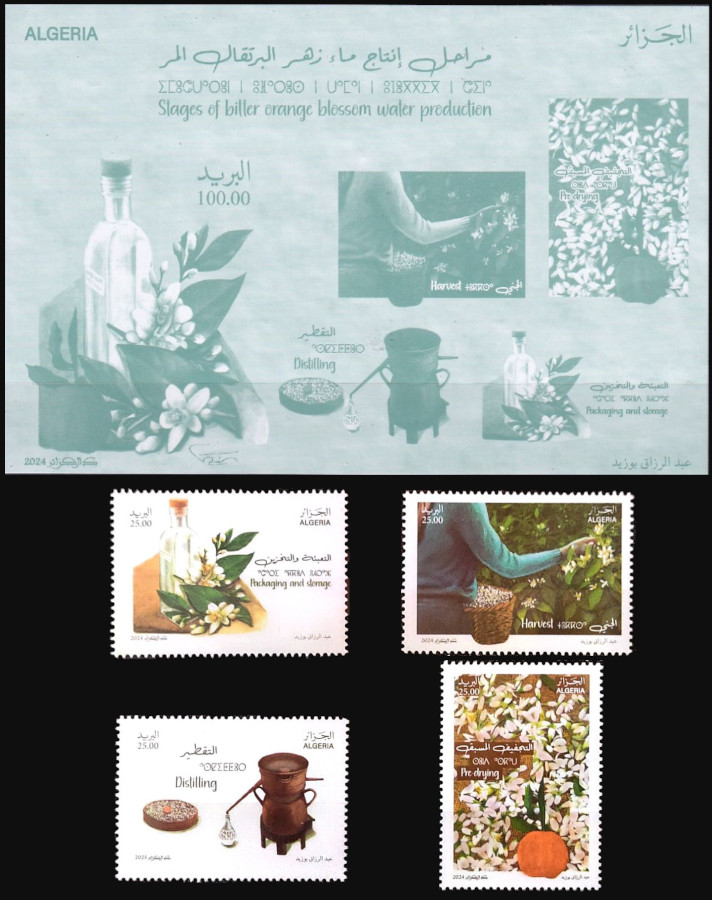 2024 Issue No. 15 - The production stages of bitter orange blossom water