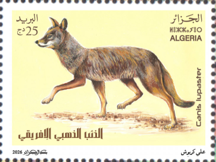 2026 Issue No. 03 - Fauna Canis lupaster African wolf or African golden wolf