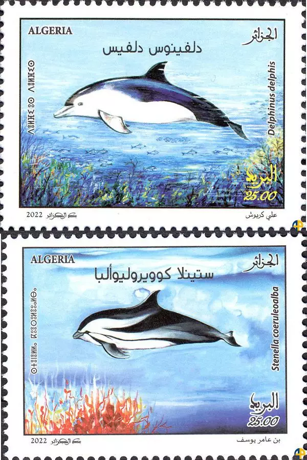 2022 اصدار 16 - الثدييات البحرية - الدلافين